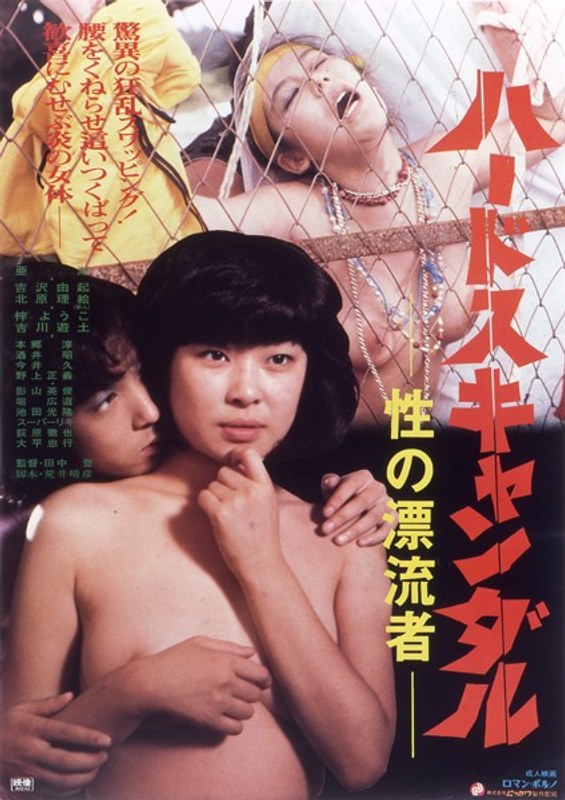 ハードスキャンダル 性の漂流者 (にっかつロマンポルノ)の動画を視聴する方法|無料で見れる?配信サイトを調査