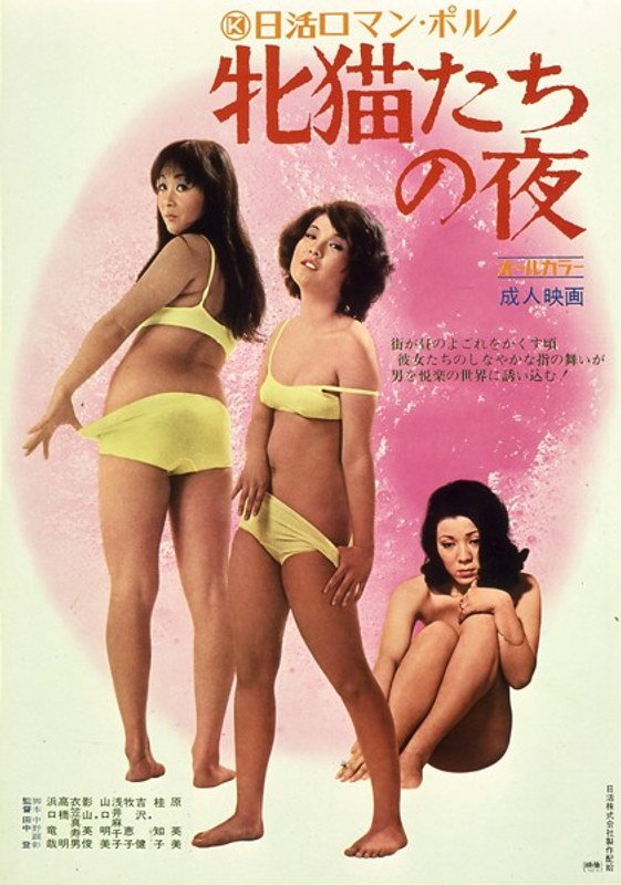 牝猫たちの夜 (にっかつロマンポルノ)の動画を視聴する方法｜無料で見れる？配信サイトを調査