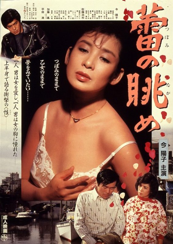 蕾の眺め (にっかつロマンポルノ)の動画を視聴する方法｜無料で見れる？配信サイトを調査